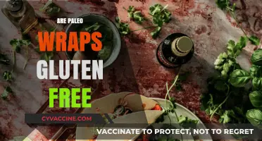 Paleo Wraps: Gluten-Free or Not? Unwrap the Truth