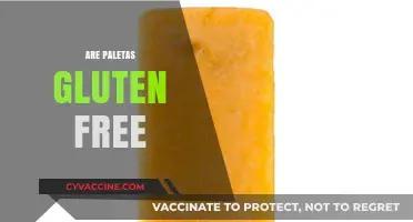 Are Paletas Gluten-Free? Discover the Truth About These Treats