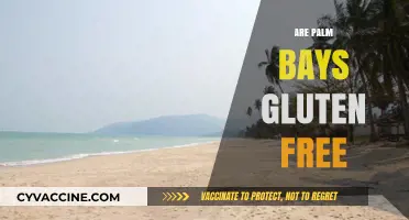 Are Palm Bays Gluten-Free? A Comprehensive Guide for Drinkers