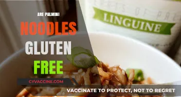 Are Palmini Noodles Gluten-Free? A Comprehensive Guide for Celiacs