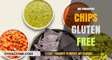 Are Pancheros Chips Gluten-Free? A Complete Guide for Celiac Diners
