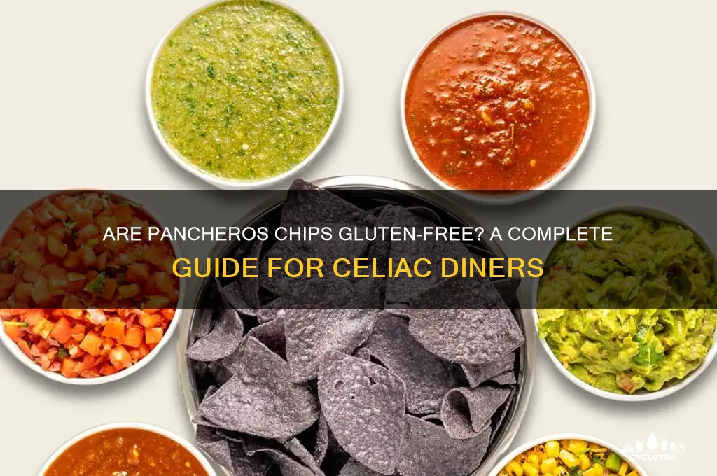 are pancheros chips gluten free