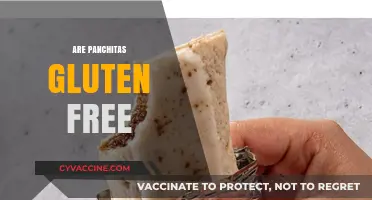 Are Panchitas Gluten-Free? A Comprehensive Guide to Your Snack Choice