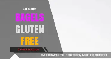 Are Panera Bagels Gluten-Free? A Complete Guide for Celiac Eaters