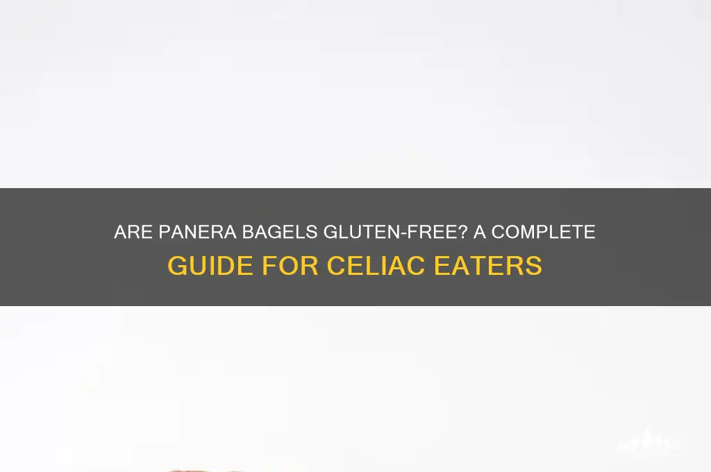 are panera bagels gluten free