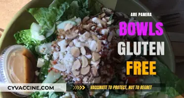 Are Panera Bowls Gluten-Free? A Complete Guide to Safe Options