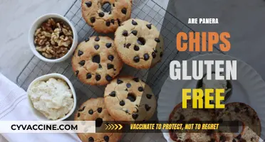 Are Panera Chips Gluten-Free? A Complete Guide for Celiac Eaters