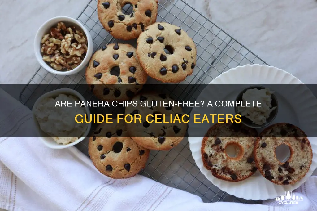 are panera chips gluten free