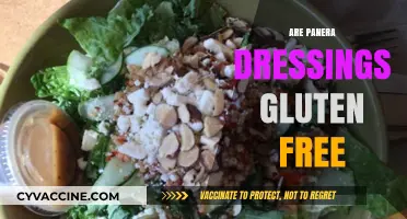 Are Panera Dressings Gluten-Free? A Complete Guide for Diners