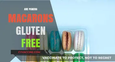 Are Panera Macarons Gluten-Free? A Sweet Treat Investigation