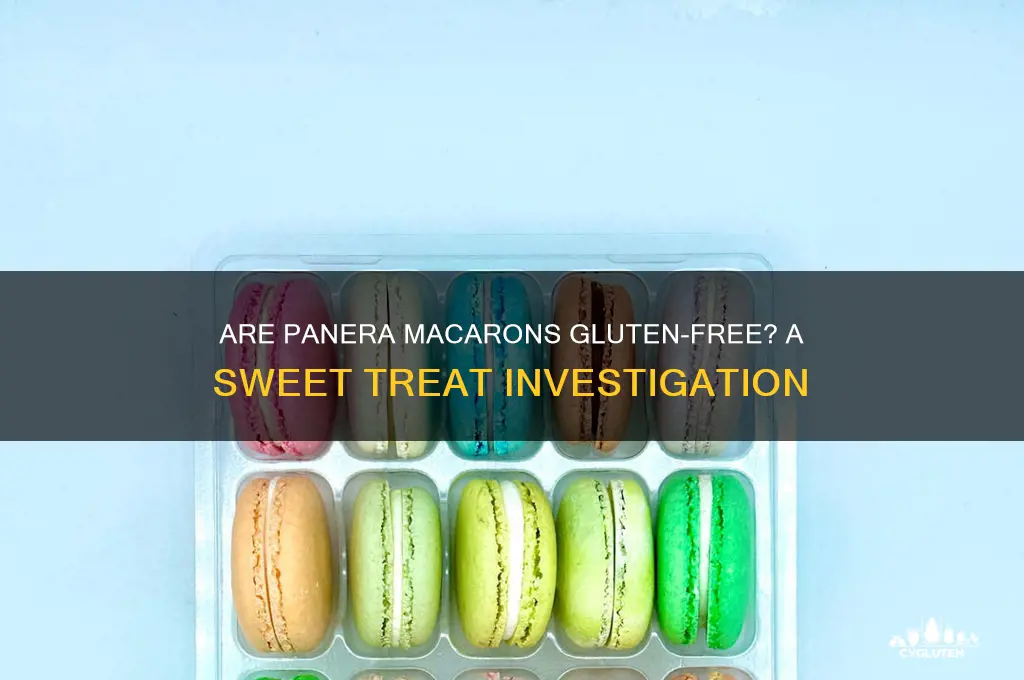 are panera macarons gluten free