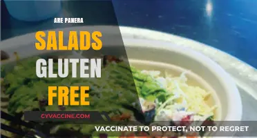 Are Panera Salads Gluten-Free? A Comprehensive Guide for Diners