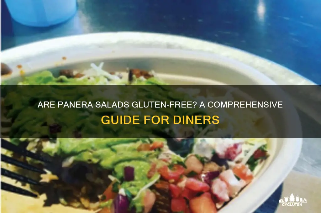 are panera salads gluten free