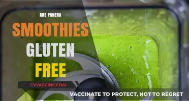 Are Panera Smoothies Gluten-Free? A Complete Guide for Dieters