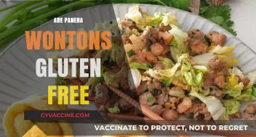 Are Panera Wontons Gluten-Free? A Dietary Guide for Diners