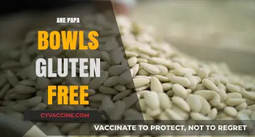 Are Papa Bowls Gluten-Free? A Complete Guide to Ingredients