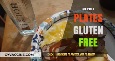 Are Paper Plates Gluten-Free? Uncovering the Truth for Celiac Safety