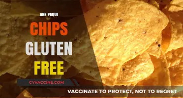 Are Paqui Chips Gluten-Free? A Crunchy Snack Fact Check