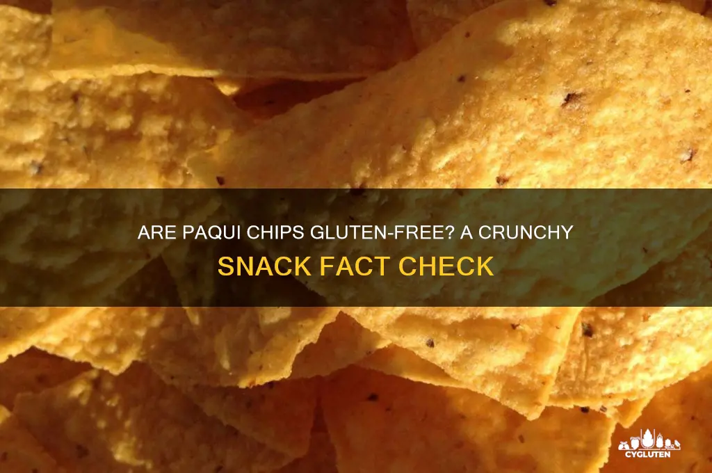 are paqui chips gluten free