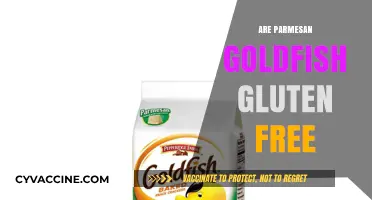 Are Parmesan Goldfish Gluten-Free? Discover the Truth Here