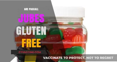 Are Pascall Jubes Gluten Free? A Sweet Snack Fact Check
