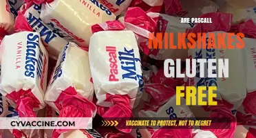 Are Pascall Milkshakes Gluten-Free? A Complete Guide for Celiacs