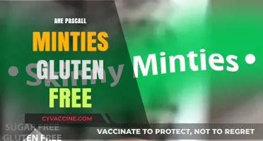 Are Pascall Minties Gluten Free? A Sweet Treat Investigation