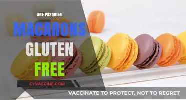Are Pasquier Macarons Gluten-Free? A Delicious Inquiry Answered