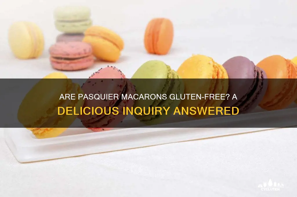 are pasquier macarons gluten free
