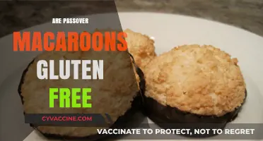 Are Passover Macaroons Gluten-Free? A Sweet Holiday Guide