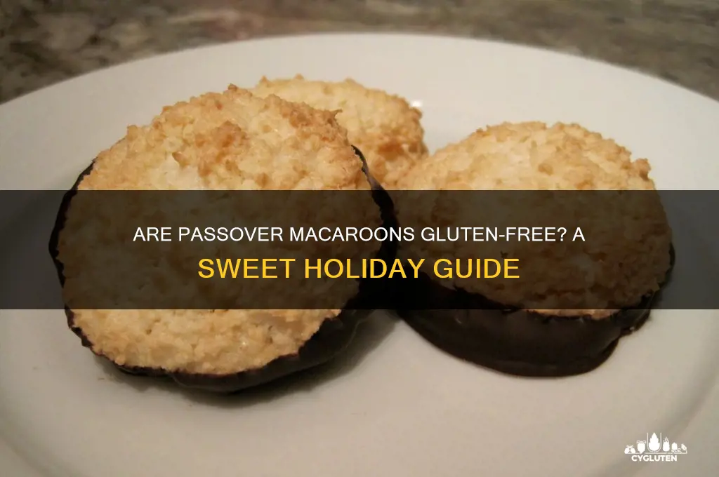 are passover macaroons gluten free