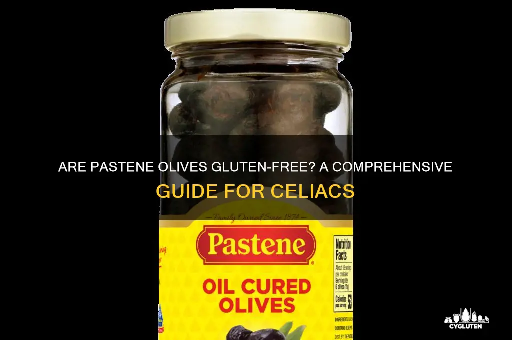 are pastene olives gluten free