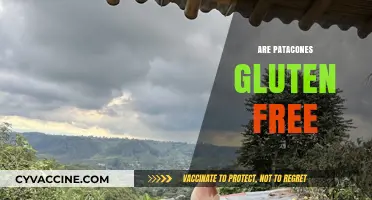 Are Patacones Gluten-Free? A Crunchy, Crispy Dietary Guide