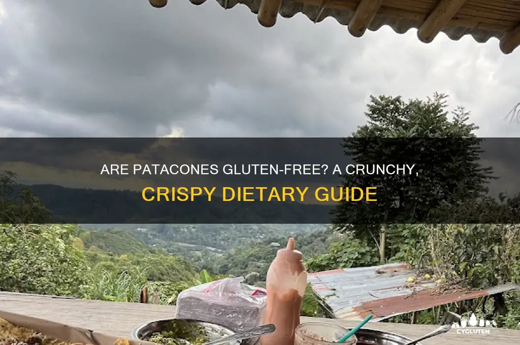 are patacones gluten free