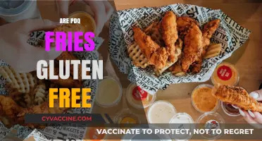 Are PDQ Fries Gluten-Free? A Complete Guide for Celiac Diners