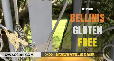 Are Peach Bellinis Gluten-Free? A Guide to Safe Sipping