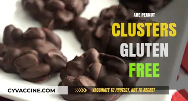 Are Peanut Clusters Gluten-Free? A Comprehensive Guide for Snack Lovers