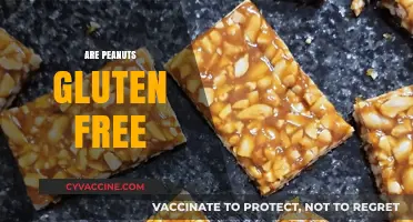 Are Peanuts Gluten-Free? A Comprehensive Guide to Peanut Safety