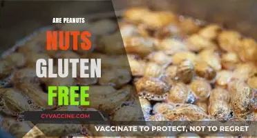 Are Peanuts Nuts Gluten-Free? Unraveling the Truth for Celiac Diets