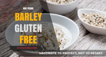 Is Pearl Barley Gluten-Free? Unraveling the Truth for Your Diet
