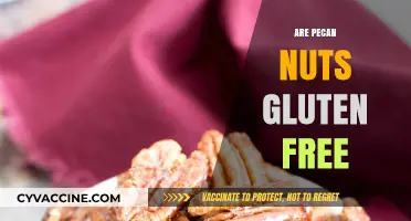 Are Pecan Nuts Gluten-Free? A Nutritional Guide for Celiacs