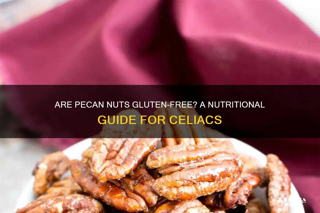 are pecan nuts gluten free