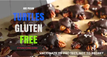 Are Pecan Turtles Gluten-Free? A Sweet Treat Analysis