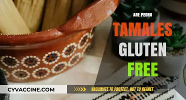 Are Pedro Tamales Gluten-Free? A Complete Guide for Celiac Eaters