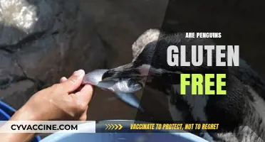 Are Penguins Gluten-Free? Unraveling the Myth About These Birds