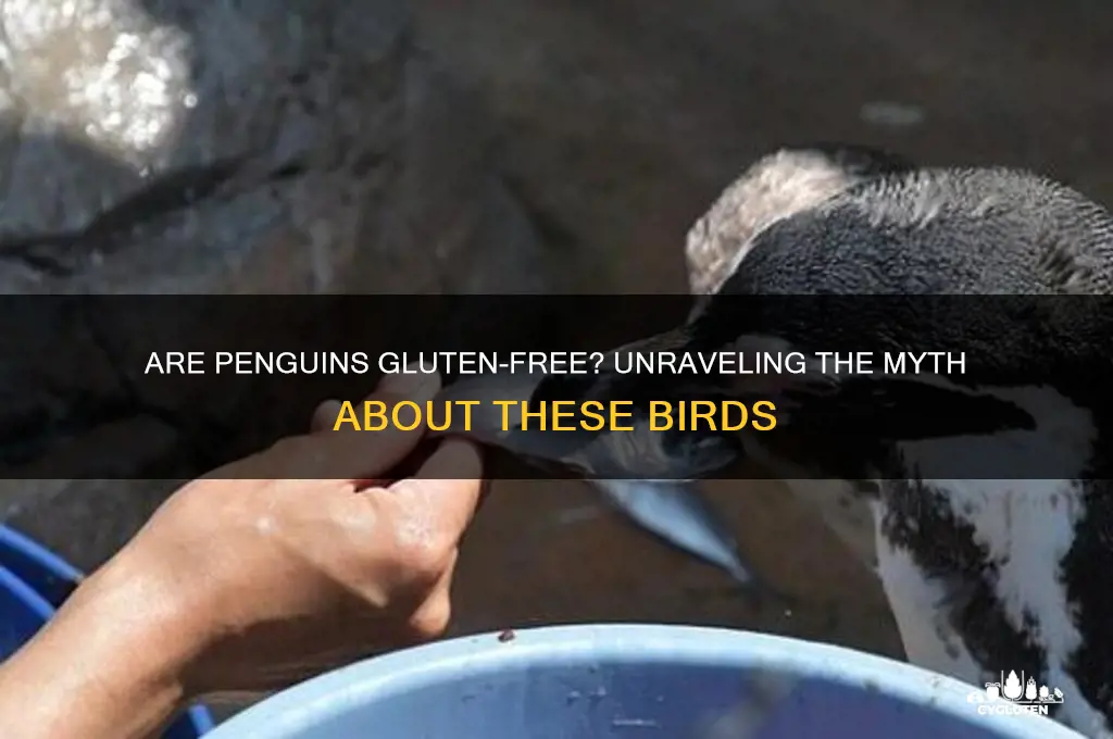 are penguins gluten free