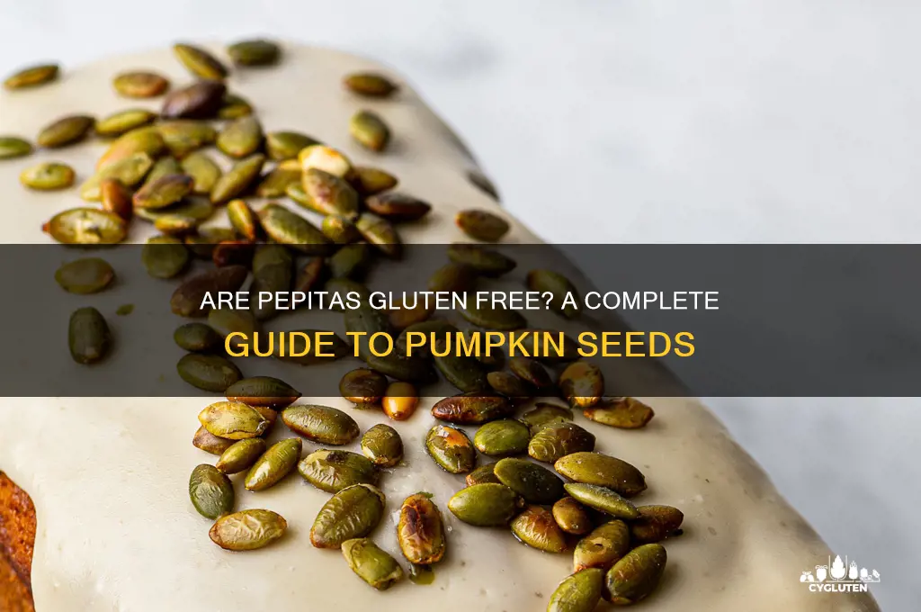 are pepitas gluten free