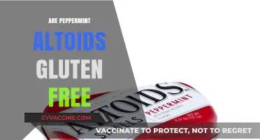 Are Peppermint Altoids Gluten-Free? A Complete Guide for Celiacs