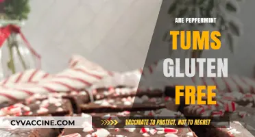 Are Peppermint Tums Gluten-Free? A Complete Guide for Celiacs
