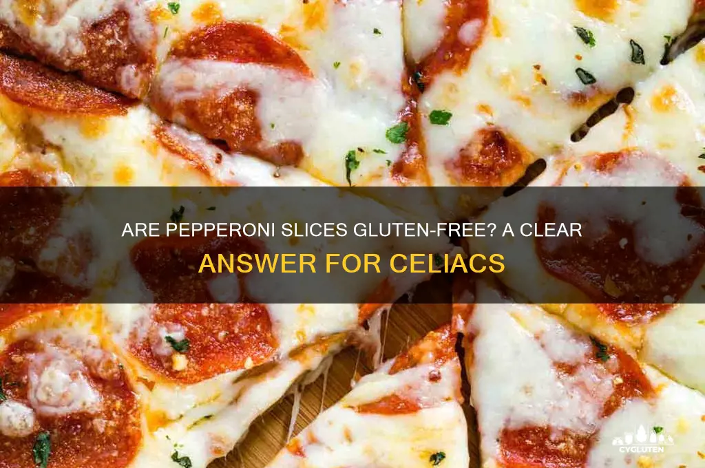 are pepperoni slices gluten free